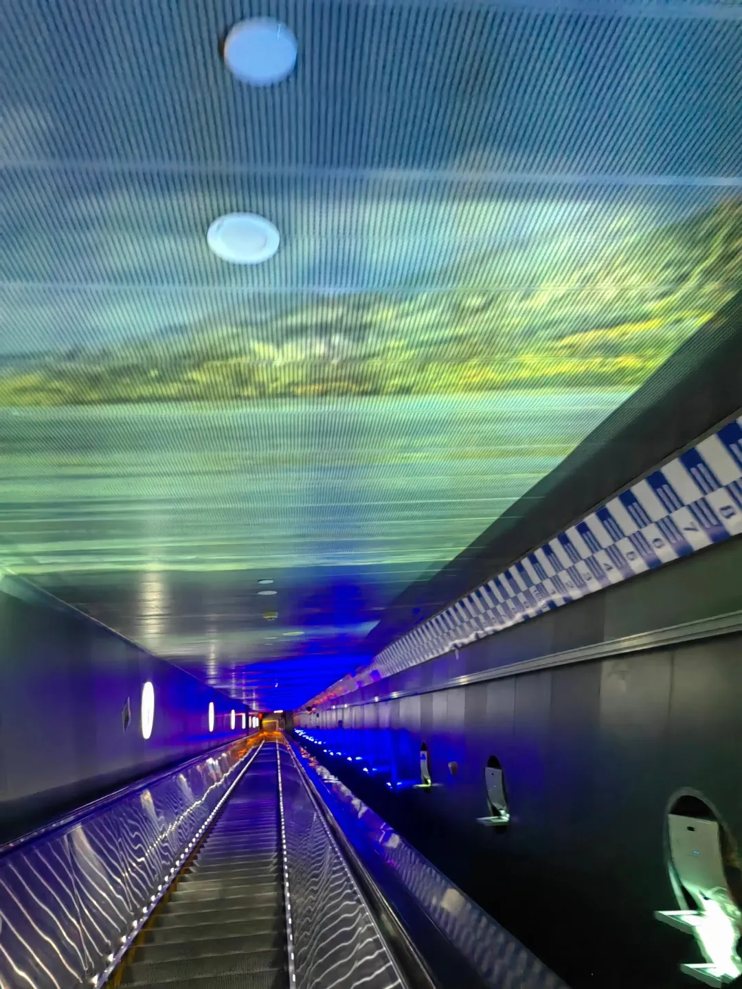 3daceb8c0263b6ad6d02e2b03429c8db-sz_2572187