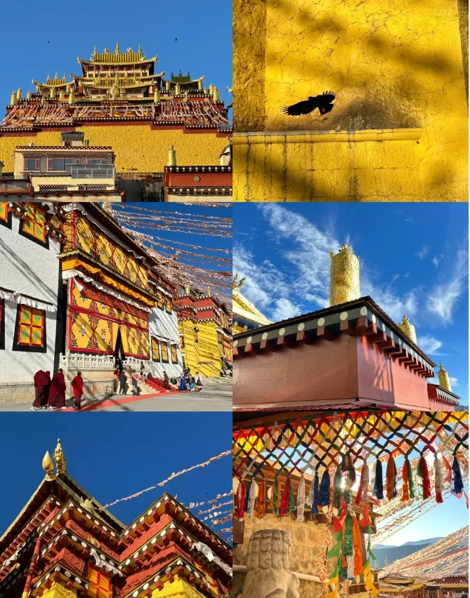 3dd2059c84aed383ac63ef70c9a8ab9f-sz_1531218