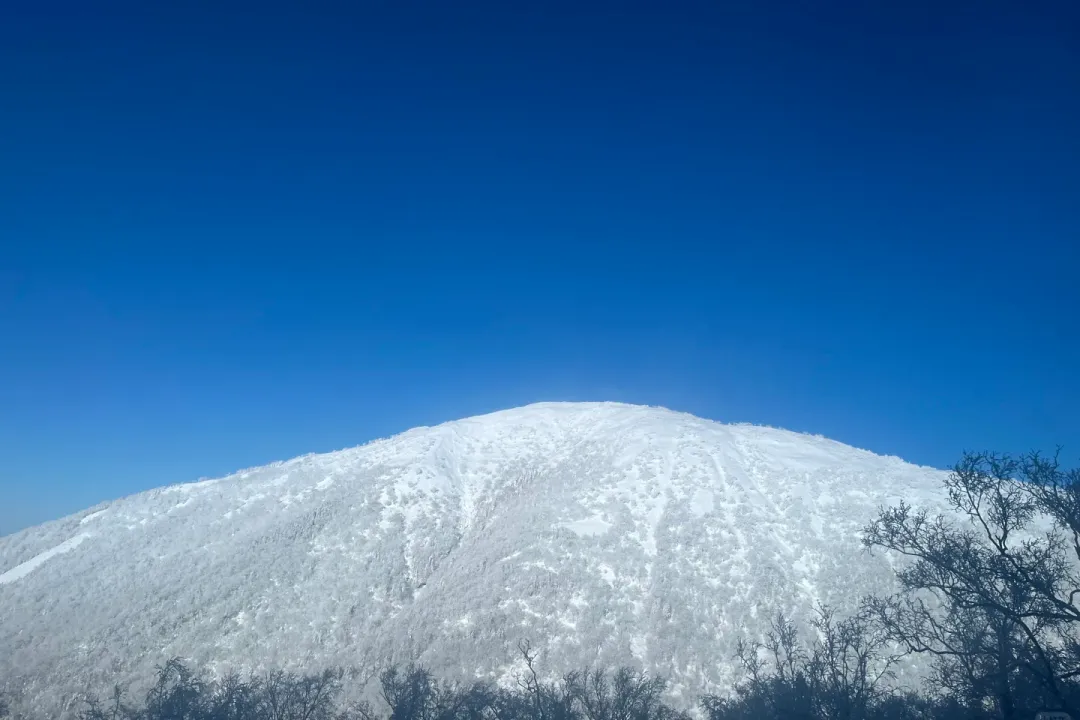 3de673837e7954ce00e41fc857970133-sz_1124181