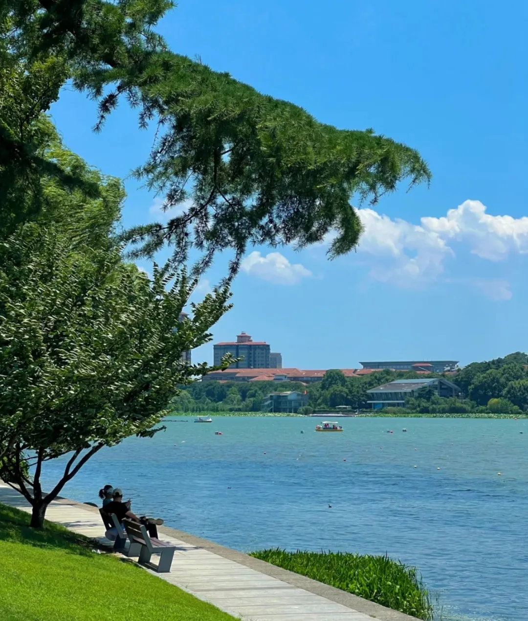 3e2a610c9402691446cecfd85a640801-sz_1129289 3e2a610c9402691446cecfd85a640801-sz_1129289