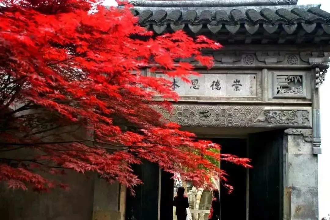 3e75324ed32ba33c6927a09efa08df99-sz_135832