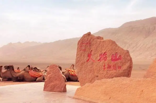 3e841f3d628899a45159081a1896f4f7-sz_23884