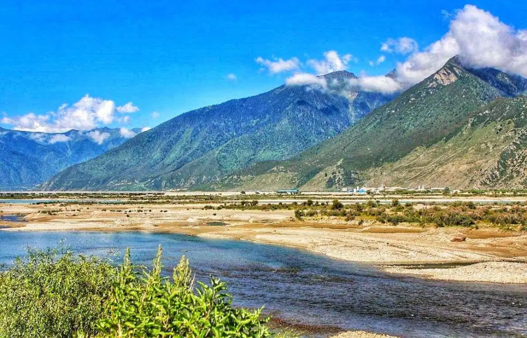 3e8c62a4237ac3700c6229f2201a21a4-sz_215340