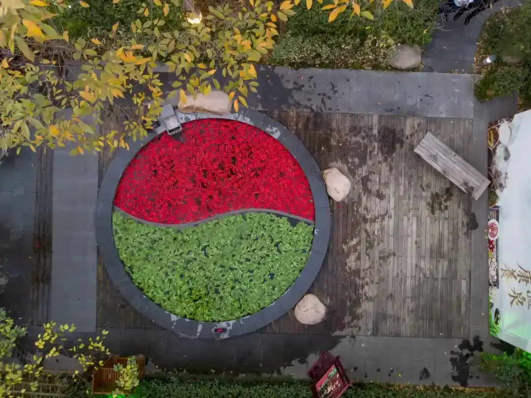 3e8ecb6c7e86e15ac54dd6ffd9cc22c5-sz_1880844