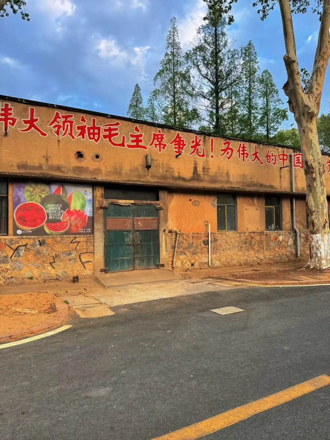 3ef48872da2e0a6205c67f7807c685f9-sz_996337