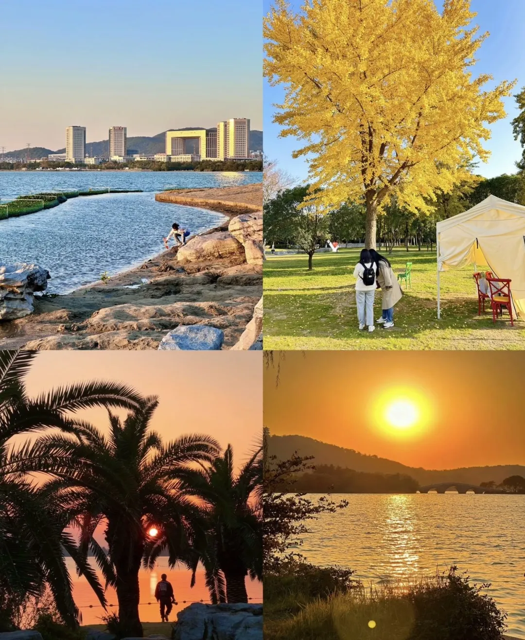 3f2030af5e90e0d33b641c4d1ae17d92-sz_660254