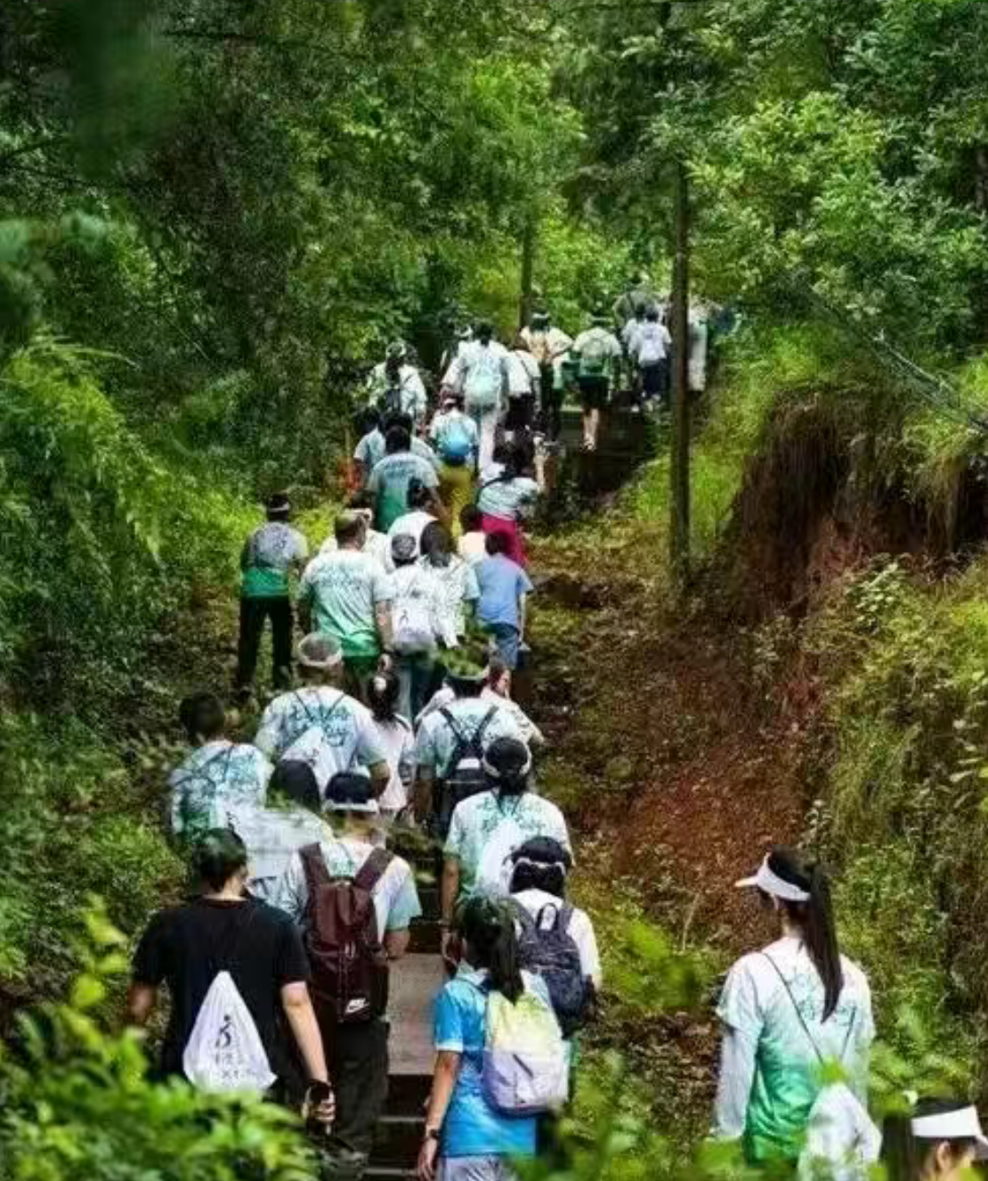 3f93d22906c456d53a3b2619cb0ed772