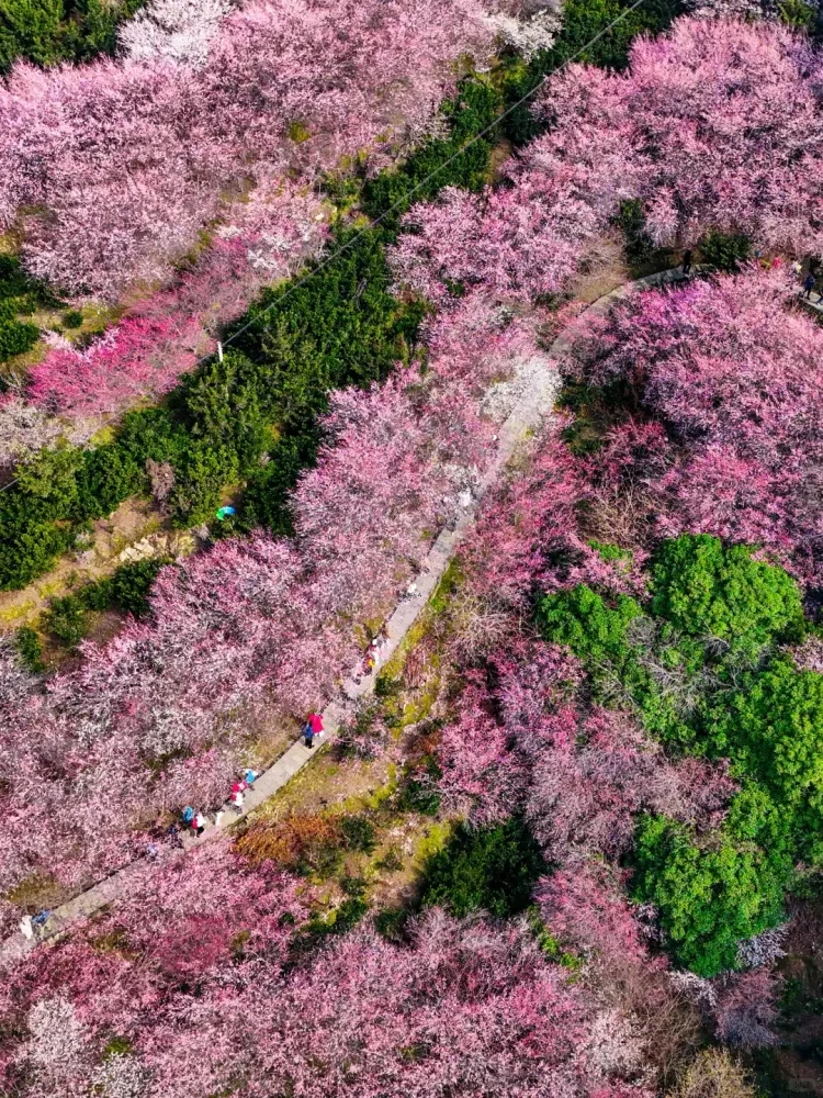 3fb3078b45b65078434a0b6ec7dc2f72-sz_4596111