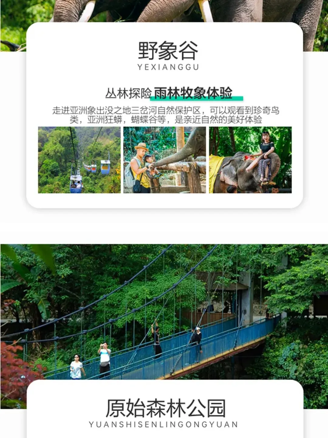 3fdd6116d1df51163a77a3dbdc8ed3f4-sz_568804