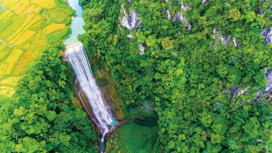 4000a18483912420316b2a2661c8c66f-sz_2105707