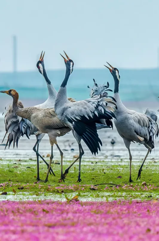 4052dc7b50fed31f00541aabcc0e7f83-sz_818543