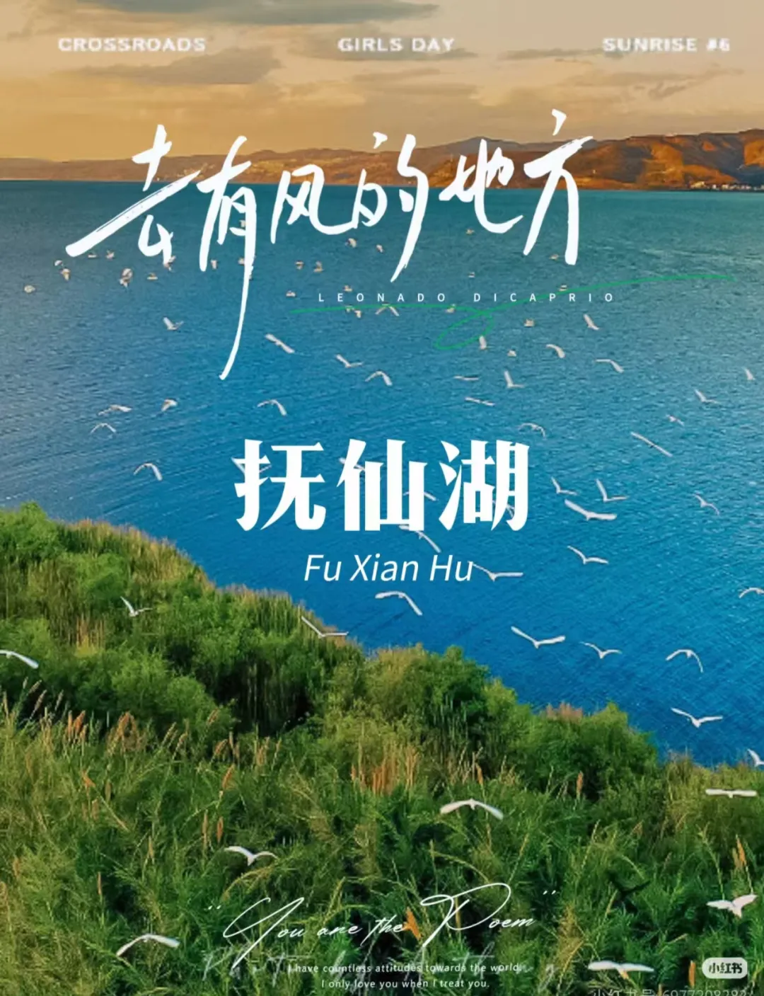 4080a4ba0a1117f3d73d733b054728d3-sz_1219550