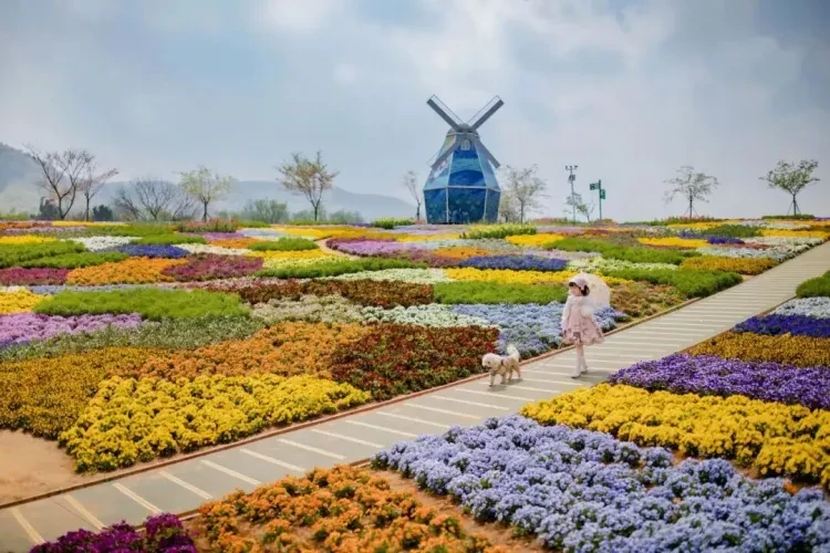 40dc16f69a85eab13675ce93d691165e-sz_169613