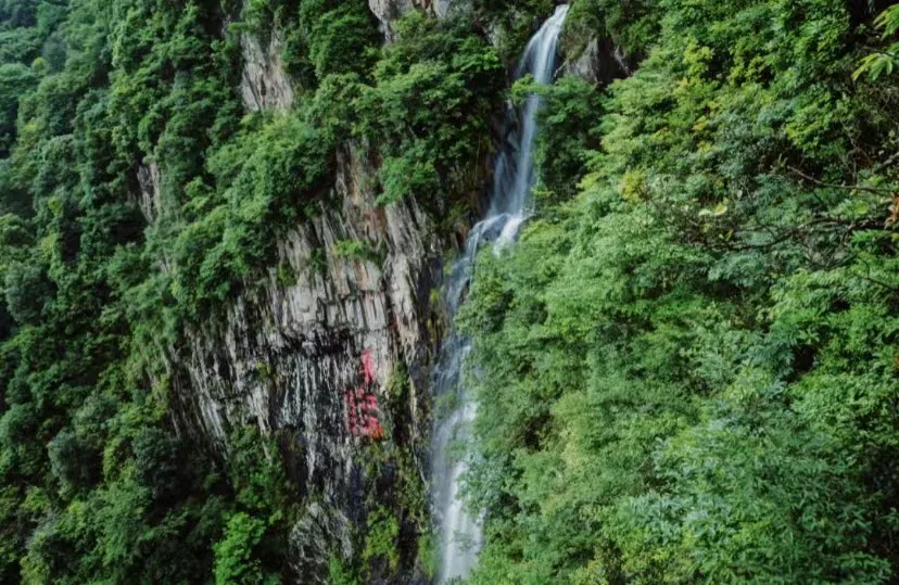 40f1202d31f08ec70753c8f68296eb65-sz_443757