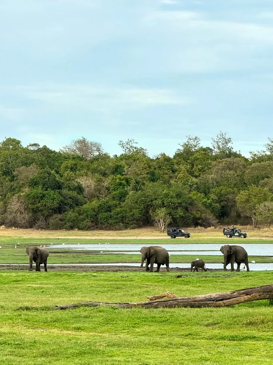 4113a33a5c2777e2bc8f905161291593-sz_430143-1