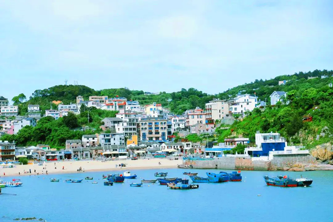 4116c8ffe86038de6ddd6cebdebe9f46-sz_203848