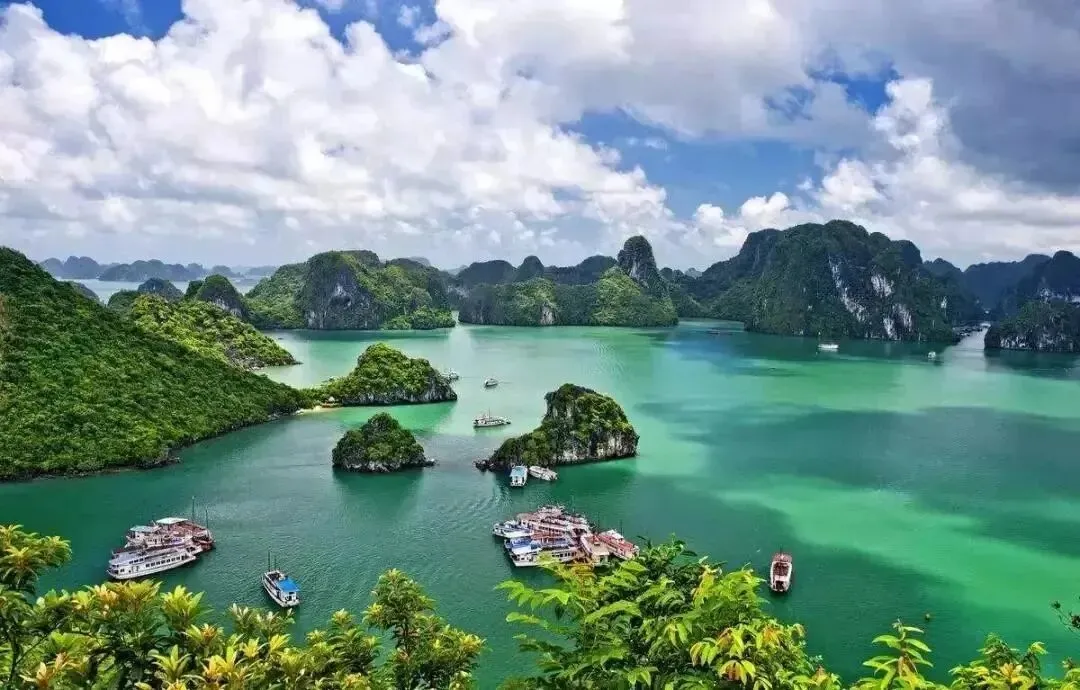 413d07776c86345c5a8ece3206930c2c-sz_134635