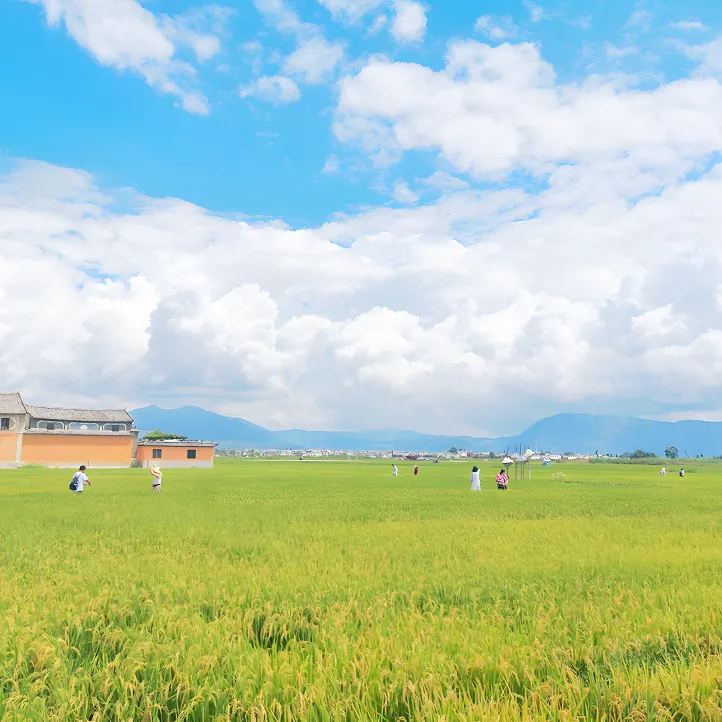 4165163b91940e97192952463b4f9b89-sz_20855792