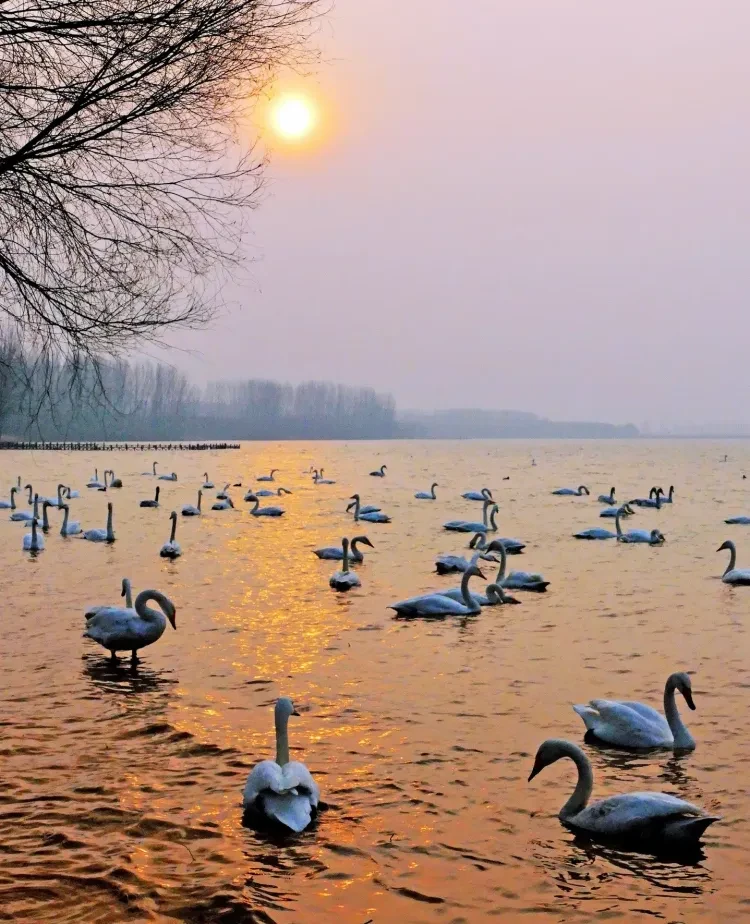 41869c191963aa1c9cd7fb217917d5c1-sz_4731525