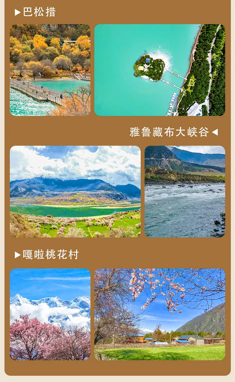 41b1f9d60289a0150d3d670a1e1c6697-sz_1003415