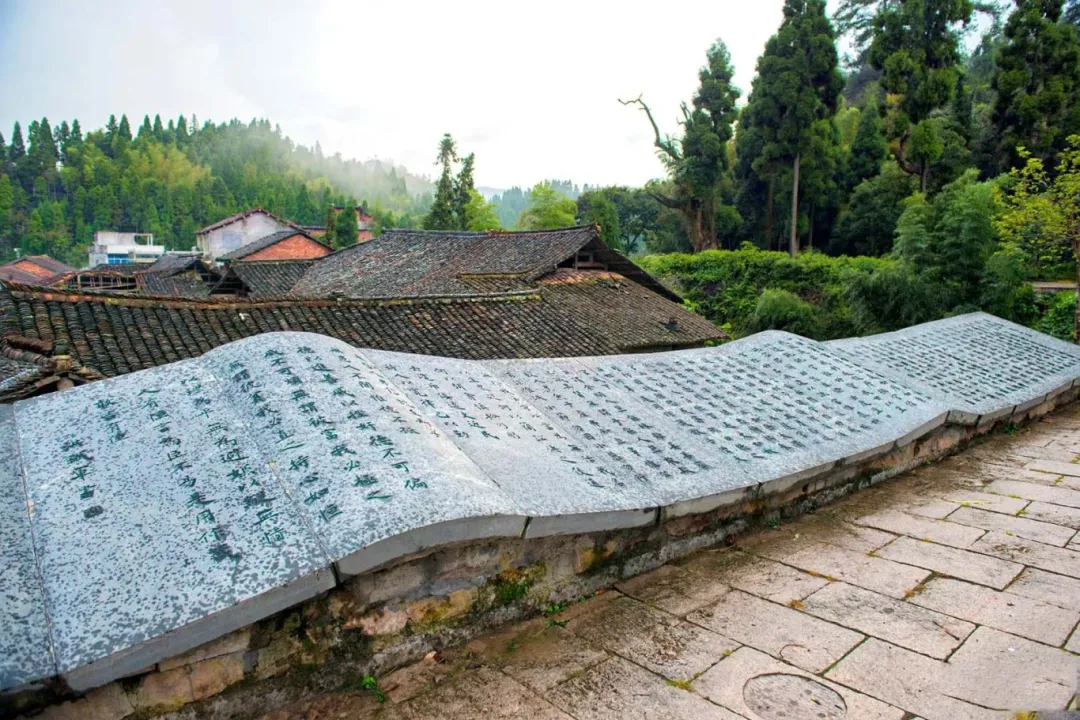 41c60badc9fbba975986fe908ac522dd-sz_427163