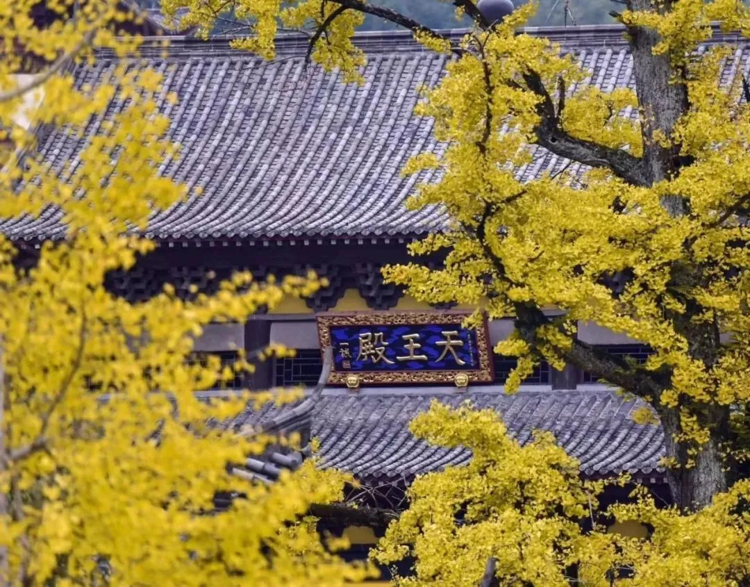 41d5ce1cddcaff301922d05589d7cac1-sz_227133