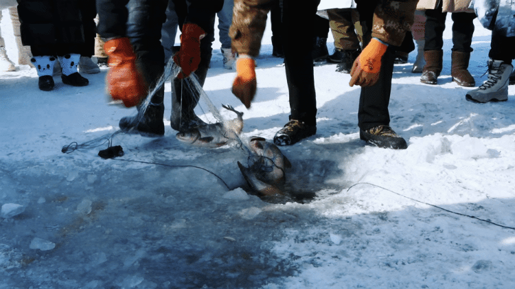 41ebba0e4fe362a2af5e1bfaa49b8e87-sz_7329241