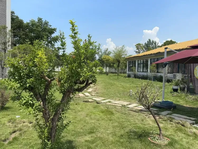 41f63ff87df13d612f36195f6f028f11-sz_4929036