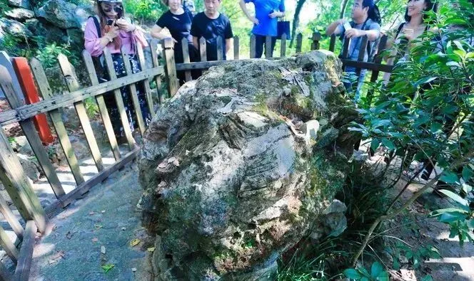 421cdfe143bcdcc14d3eaddfcc8b4fa7-sz_98084