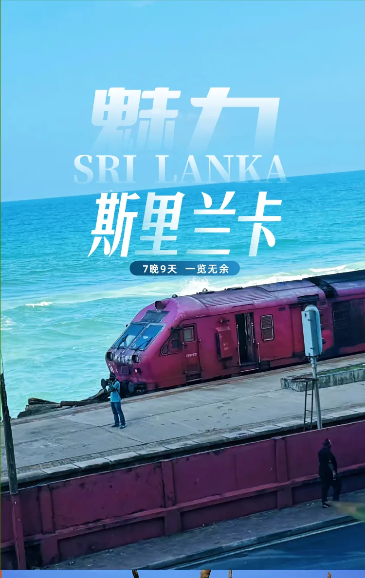 42365c706c883a8330e3686a1eea53fd-sz_505101