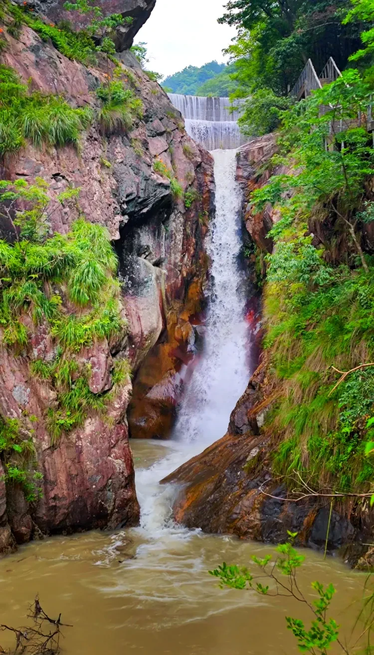 4245560e3a2b3f8ea80583092f431c8d-sz_3743320