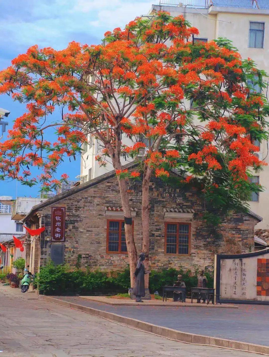 42508c3cc98069faaabd21f37737245f-sz_310497