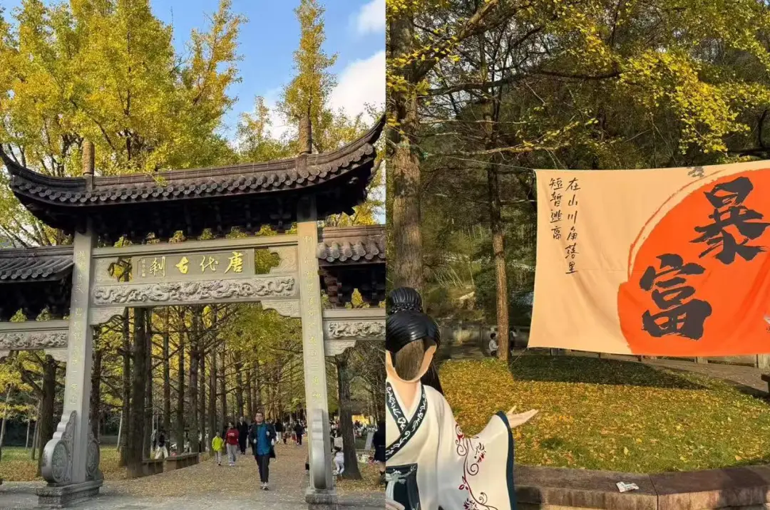 42a5f575294c9b93f18db43e42932119-sz_551424