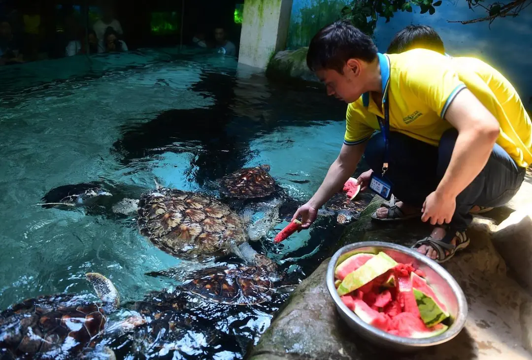 42e0d691eeb924e627066fb60772532c-sz_189610