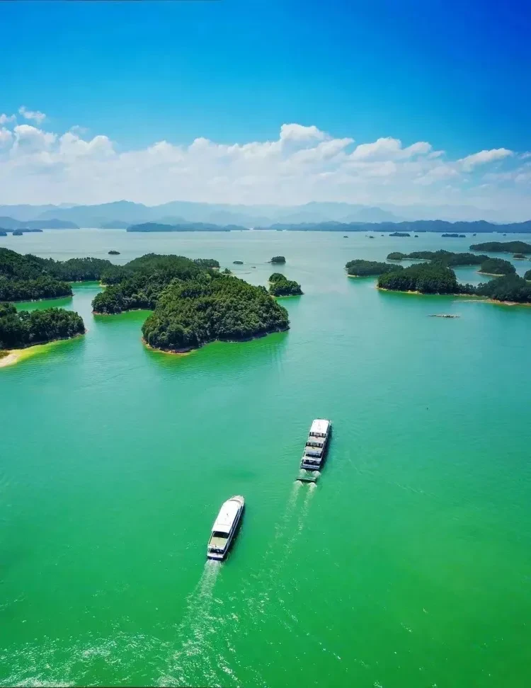 42e36b128c7fd4ac640211f193a4c780-sz_137080