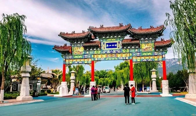 42f17e716225180ba88f74e5f247abfe-sz_113305-1