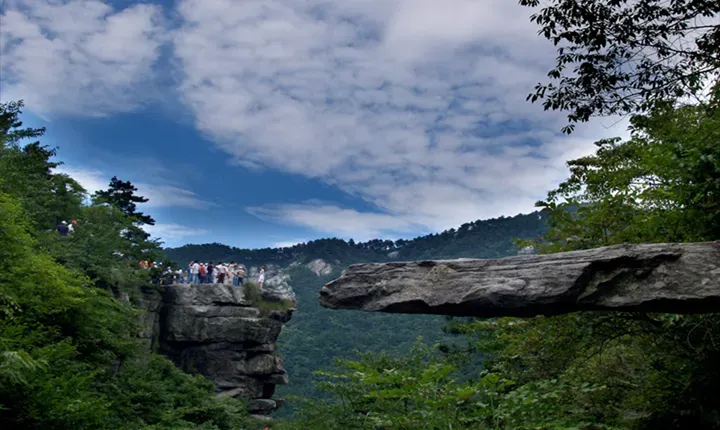 436a4c771f06c2e9e2e61c75d24abef4-sz_656426 436a4c771f06c2e9e2e61c75d24abef4-sz_656426