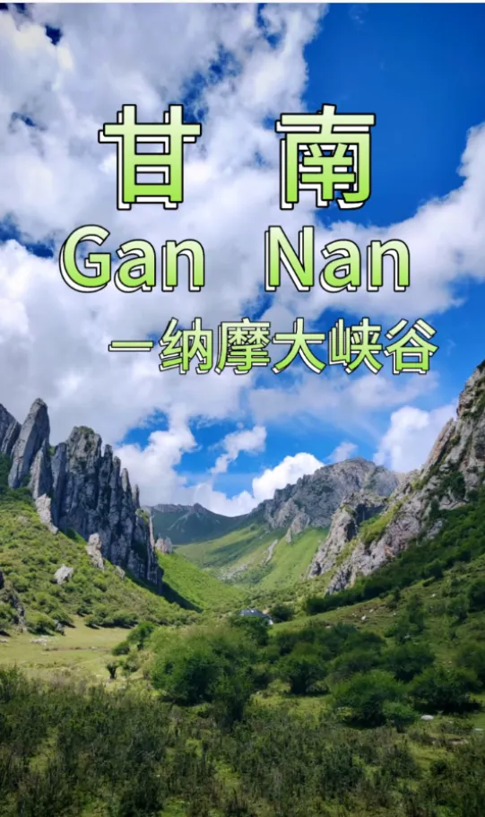 43b19ff507ee7efafa73bc56e98f6c07-sz_681433