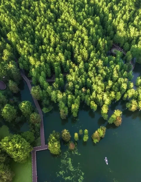 441644e49225132e2fc931cfac95297b-sz_817444