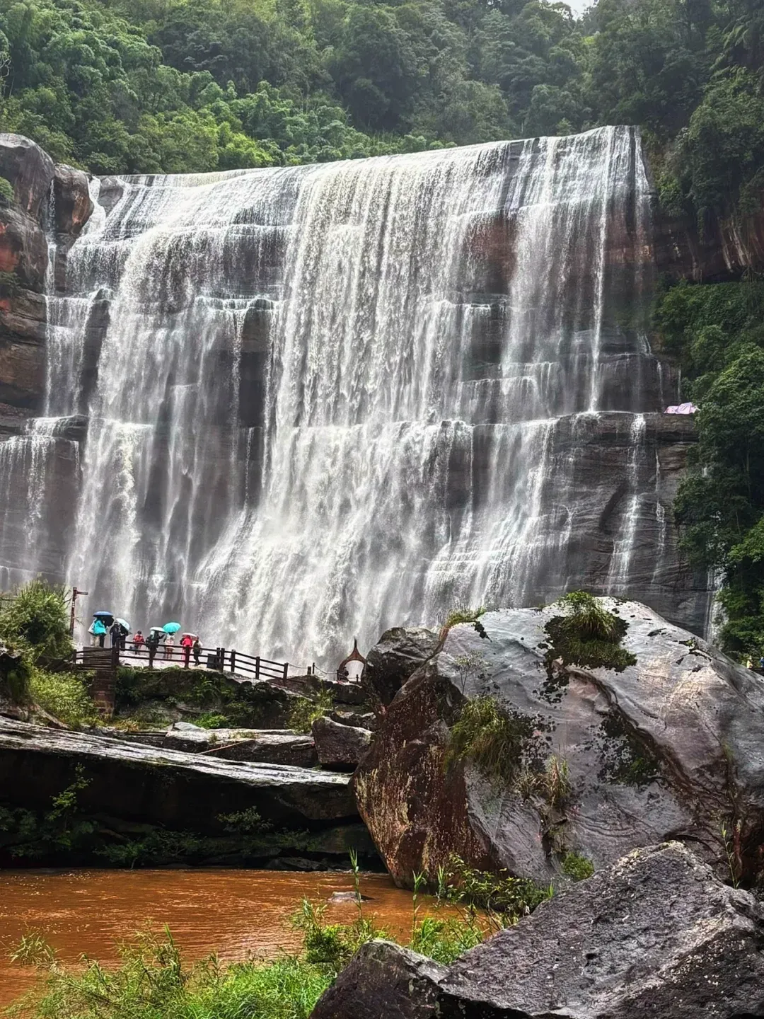 44237f9736b14401d98a2c5a9d52cb43-sz_3009708