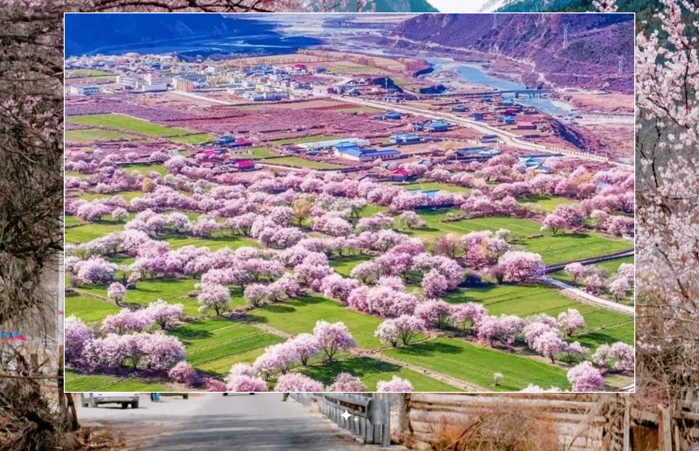 44295f41cd44c846b0928dd62b08edfe