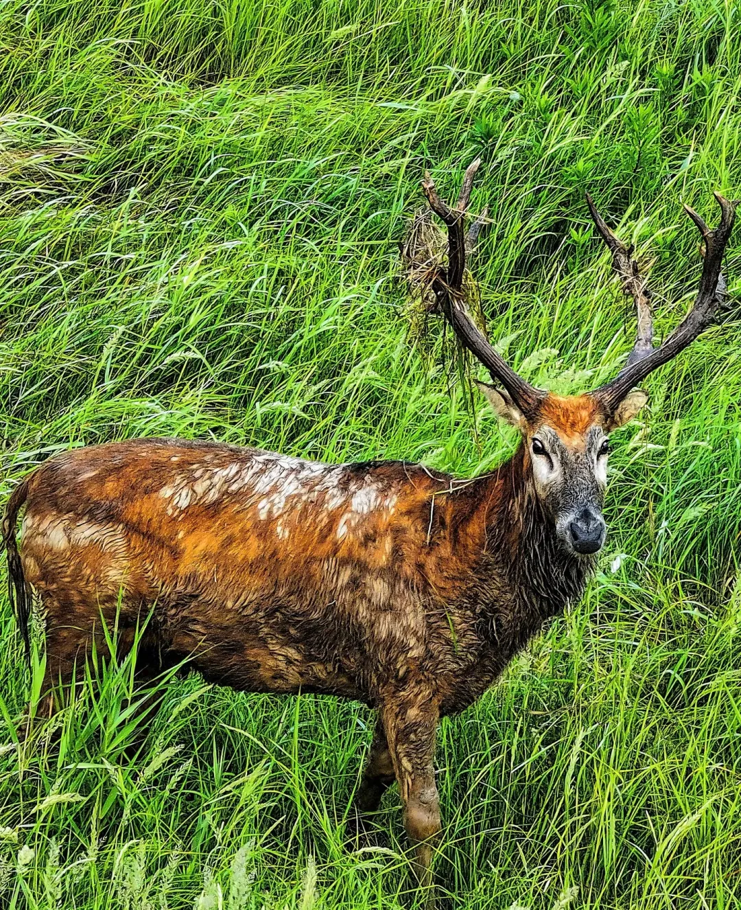 44541a9b5b8983e620436d09647083d9-sz_3442982