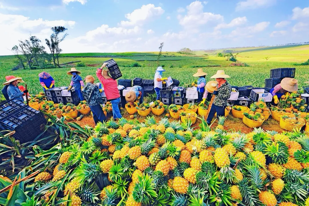 447c567888b829a99d2e805b25d62a74-sz_2863836