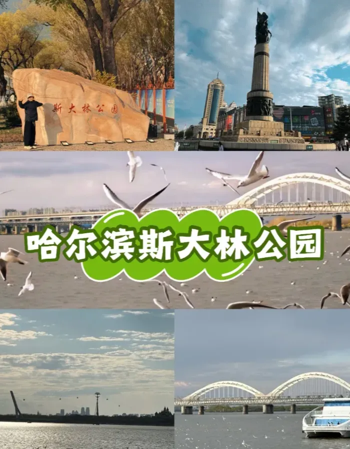 44a1b56804f3a49cc93d28d208647f77-sz_765456