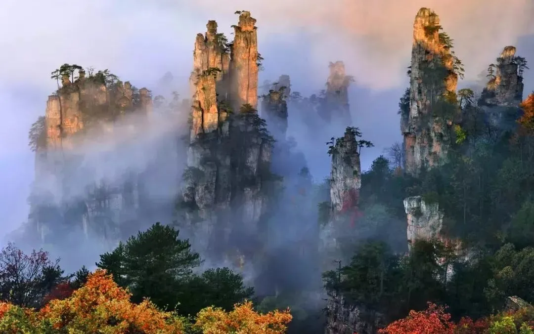 44e980cf396d01d7d1c88f19bcc32476-sz_125883