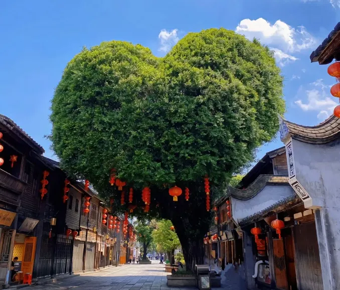 44ee45d9ea9cca15404ec6dd622cb975-sz_1170314-2