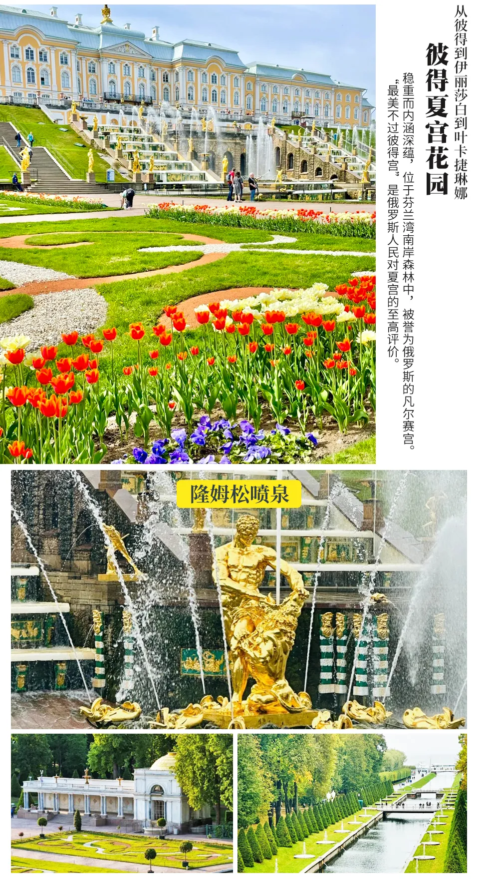 45394781e02ccce47849214059bf45fd-sz_1900634