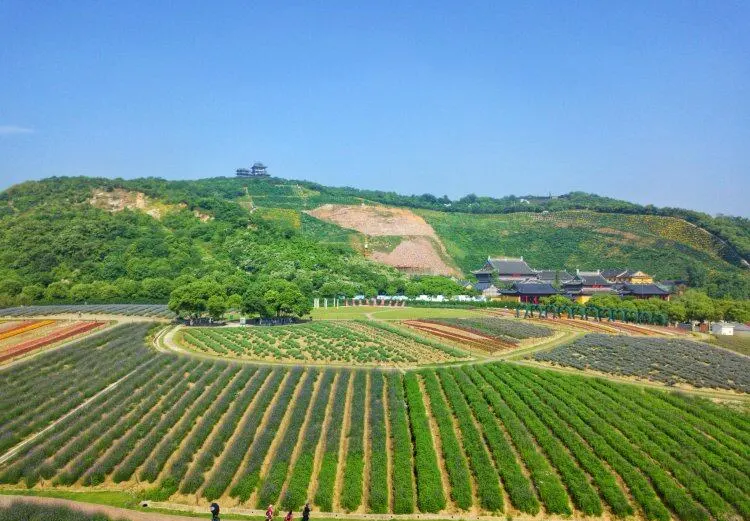 457e89a4e9ffab8c4533c24321d1381a-sz_95270