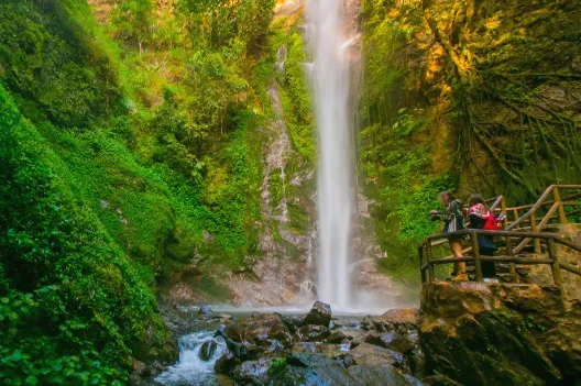 45d78fcf7c42a6047cd2115933f22a2a-sz_104852