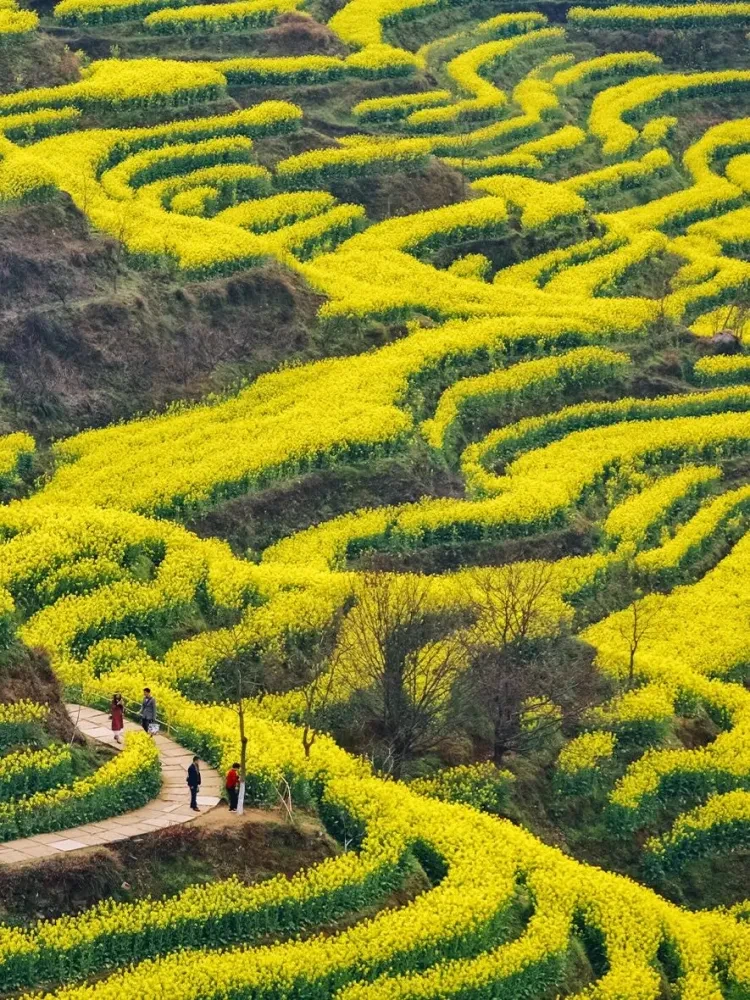 466b55519aea05a330ac11be404d0170-sz_361365-2